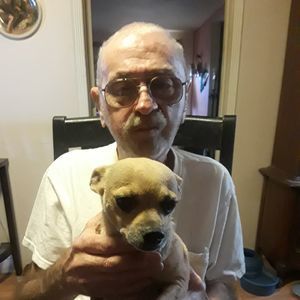 Meet your Posher, Ron